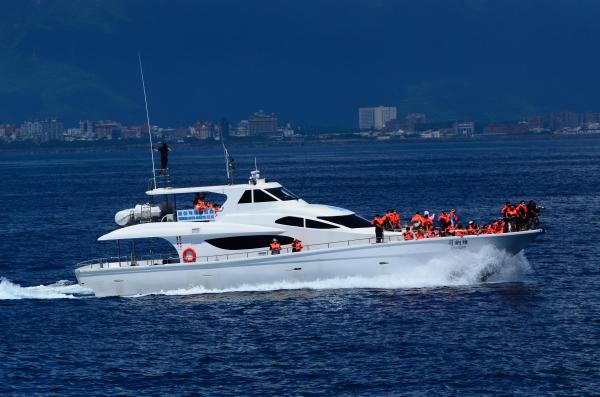 [Seasonal Limited Offer] Hualien Whale Watching | Venus Yacht Whale Watching