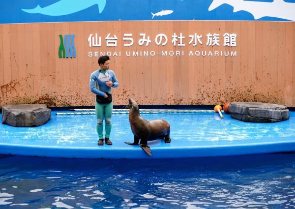 仙台うみの杜水族館 前売り入場チケット(宮城県 仙台市)