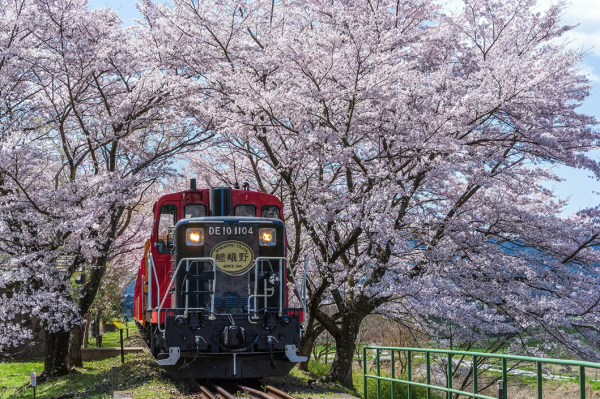 京都|保津川游船、嵯峨野浪漫小火车、岚山漫步|京都站出发