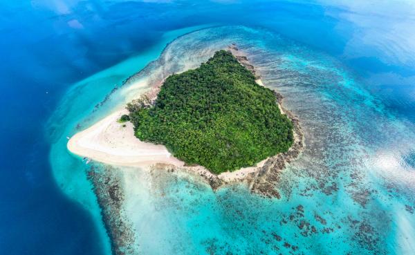 [KKday Special] Phi Phi, Maya & Bamboo Island by Speedboat Day Tour