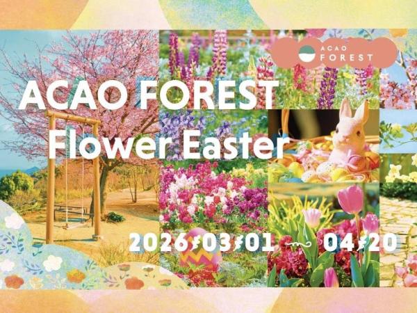 アカオフォレスト(ACAO FOREST 【10%オフ】前売りチケット)(静岡県 熱海市・ワークショップ)