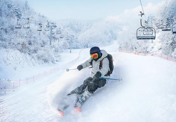 엘리시안 강촌 26 리프트권 + 장비렌탈권