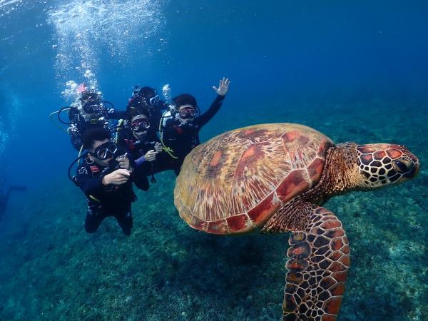 [Guaranteed tour] Pingtung Xiaoliuqiu|Island Nitrogen Diving|Scuba Diving Experience diving (no license required)