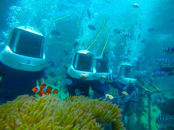 Sapi and Manukan Twin Islands + Sea Walking Shared Day Tour | Sabah, Malaysia