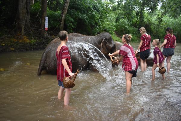 Elephant Discovery Chiang Mai | Thailand