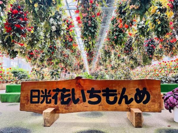 【公式販売】日光花いちもんめ|入園チケット・イチゴ狩り(栃木 日光)