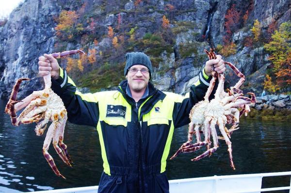 2D1N King Crab Seafood Safari from Rovaniemi | Finland