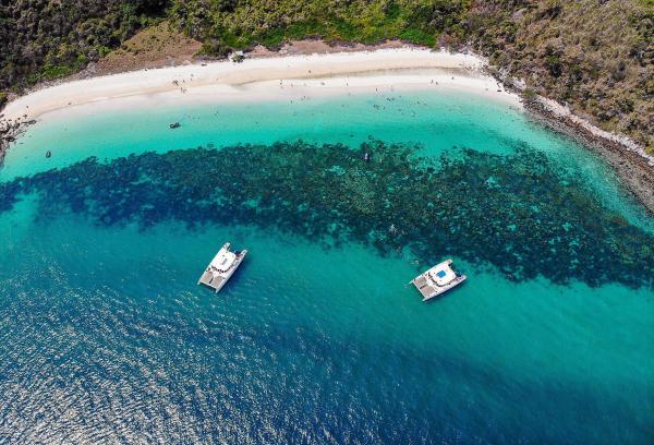 セーリングカタマラン船で行くパイ島、リン島、モンキー島の日帰りツアー |パタヤ