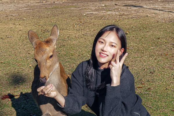오사카출발 | 교토 버스투어 | 나라 / 우지 녹차마을 / 교토 기온 거리 (한국인가이드)