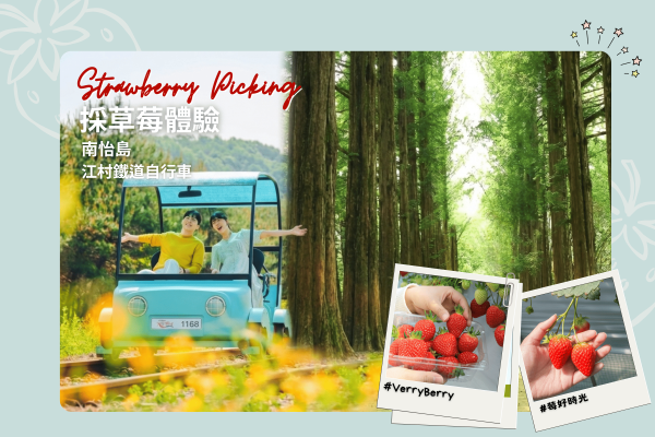 Seoul Suburbs Strawberry Picking Day Tour | Eobi Ice Valley / Gugok Falls Ice Wall / Skiing Experience / Nami Island / Rail Bike / Petite France / Garden of Morning Calm (Departing from Seoul)
