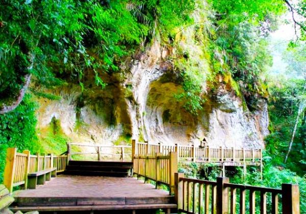Nantou chartered car|Shanlinxi one-day tour|Forest of Wangyou|Songlong Rock|Monster Village|Departure from Taichung