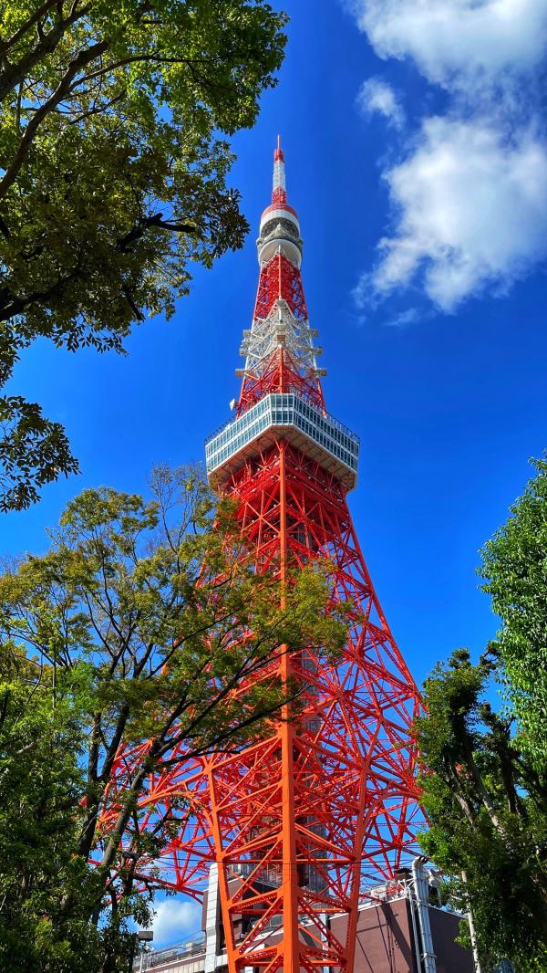 亞洲航空・高雄出發|東京 5 日計劃機票+自選方案|早去午回・1 人成行含行李