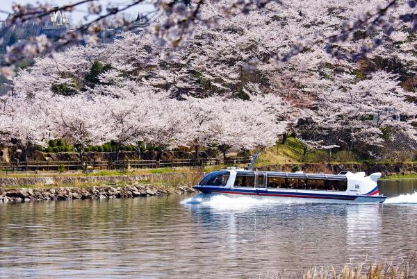 日本长野高远城址公园&惠那峡游船春季赏樱一日游|名古屋出发