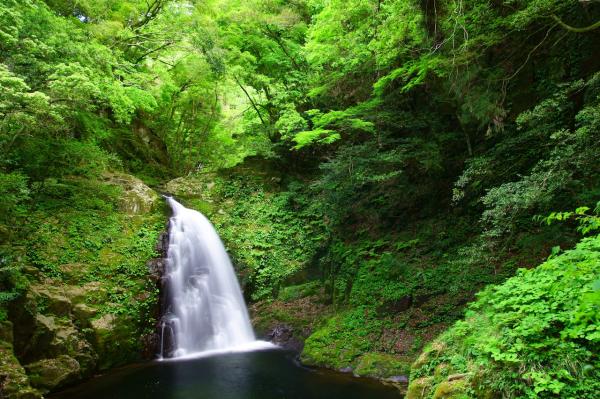 赤目四十八滝入山&赤目滝水族館入館予約(三重県 名張市)