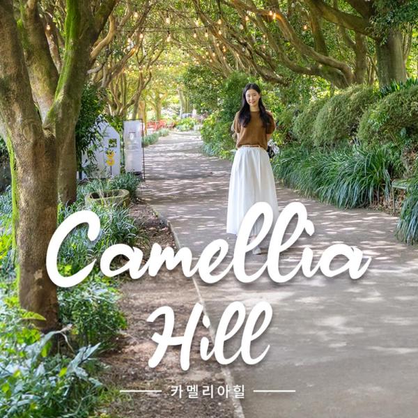 Jeju Camellia Hill Admission Ticket