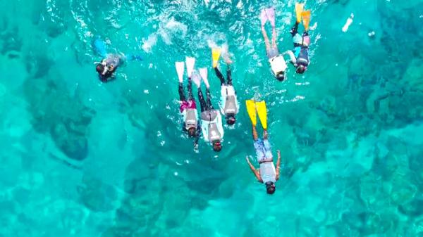 Okinawa, Japan | Kerama Islands half-day snorkeling + fish feeding experience | optional water activities / parasailing / mysterious sea turtle exploration package | including free round-trip transfers from Naha city & photography