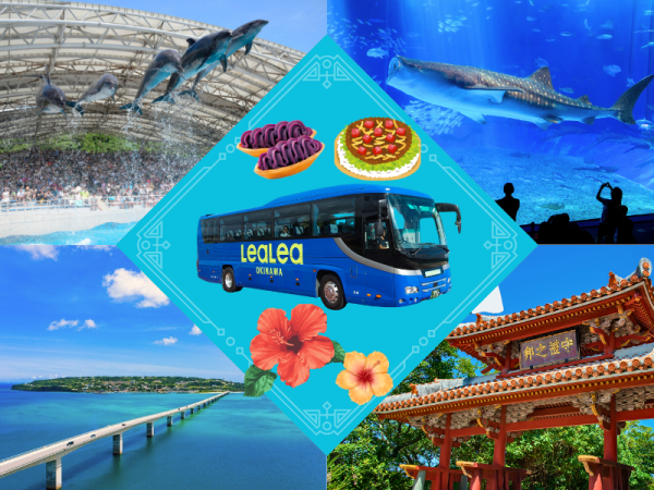 那覇発沖縄北部1日観光バスツアー|首里城・古宇利島・美ら海水族館【多言語ガイド】【弁当有】