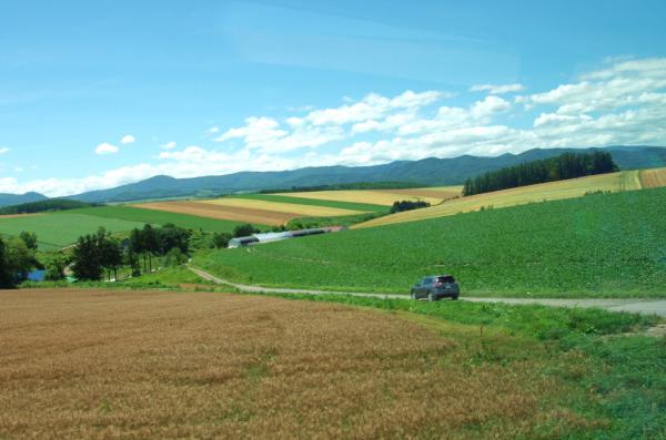 Hokkaido | Farm Tomita & Biei Shirogane Blue Pond Bus Tour (Departing from Asahikawa)