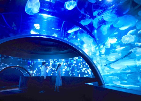 Kyoto Aquarium Admission Ticket | Japan