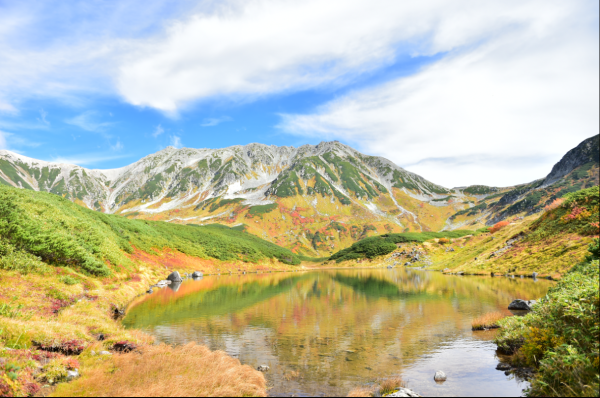 六种不同的方式带您前往云端之上:立山黑部阿尔卑斯山脉路线和上高地,2 天行程 [从新宿出发]