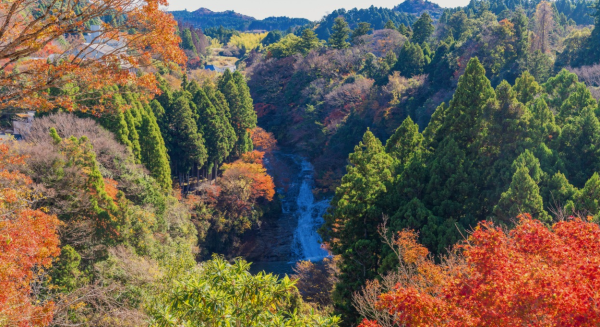 【日本の紅葉シーズンおすすめ】富士山特別プラン|関東10時間貸切チャーター車日帰りツアー|東京市内、鎌倉、横浜、埼玉、川越、箱根、富士山、日光、軽井沢、伊豆、熱海