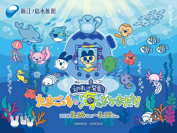 【公式販売】新江ノ島水族館 WEBチケット予約 入場券(神奈川県 藤沢市)