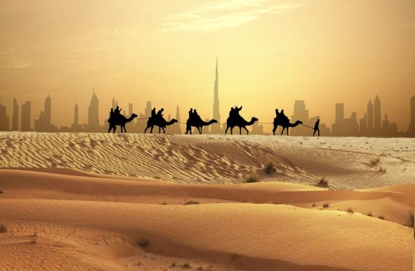 [Customized multi-day car charter] Customized DIY Chinese or English driver in Dubai and Abu Dhabi, United Arab Emirates