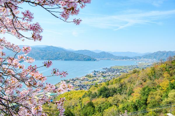 [1인 출발보장] 교토 아마노하시다테 당일 여행 | 이네 만 유람선, 아마노하시다테, 미야마 초가집, 선택 사항: 게 반 마리 해산물 전골 정식 | 오사카 난바 출발