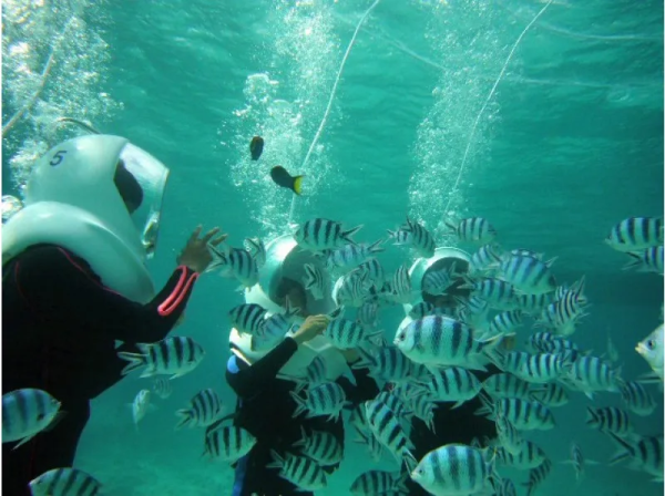 Sea Walk Underwater walk in the sea of Okinawa | Photo data service included (Onna Village, Okinawa)