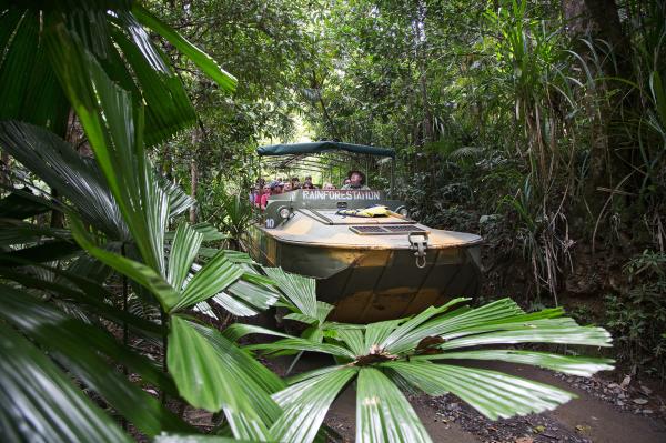Rainforestation Army Duck & Wildlife Park & Kuranda Village Coach Tour | Queensland