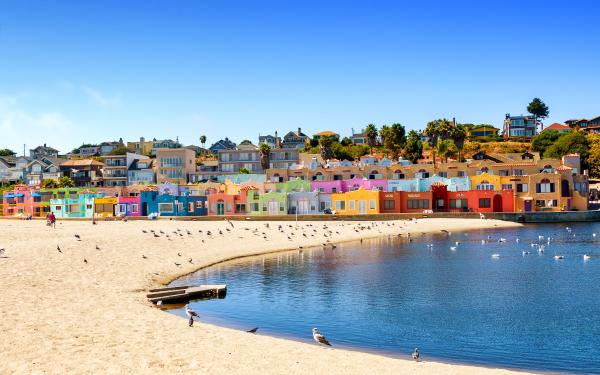 San Francisco 1-Day Tour | Redwood Forest Steam Train & Santa Cruz Harbor
