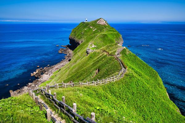 北海道日帰り旅行 | 小樽運河、積丹岬、白い恋人パーク | 札幌発(1名様からツアー催行!毎日出発!)