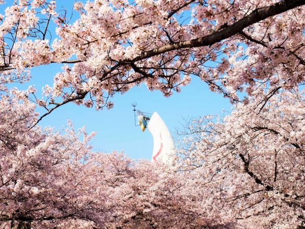 大阪・万博記念公園|自然文化園 入園チケット