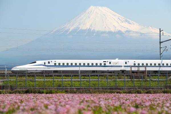 Japan Shinkansen | Tokyo / Shinagawa ⇄ Osaka / Kyoto Unreserved Seat Ticket | Includes 1-Day Subway & Bus Pass