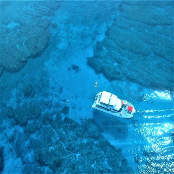 【市内無料送迎】那覇発 慶良間諸島 シュノーケル / 体験ダイビング / マリンスポーツ体験予約  絶景の旅(沖縄・ウォーターアクティビティ)