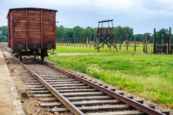 Auschwitz-Birkenau guided tour and pickup from Krakow