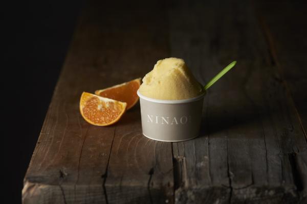 台南|NINAO Gelato Classico 蜷尾家經典冰淇淋