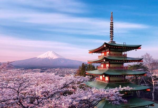 日本東京富士山一日遊|【9人精緻小團】河口湖&日川時計店&忍野八海&新倉山淺間公園|東京往返&可選擇上門接送