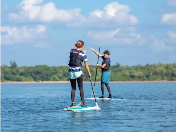 Iriomote Island Mangrove SUP / Canoe + Barasu Island Landing + Yubu Island Sightseeing 1-Day Tour Reservation Free Photo Data (Okinawa)
