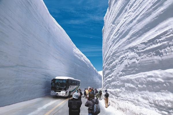 Tateyama Kurobe 2-Day Tour | Same price for one person per room & Tateyama Kurobe Alpine Route & World Heritage Site Shirakawa-go & Hida Takayama, Little Kyoto (Departing from Tokyo)
