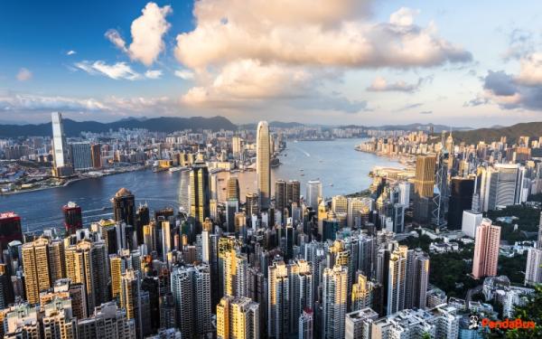 香港市内定番観光スポットを公共交通機関で廻る半日観光ツアー(文武廟・スターフェリー・ビクトリアピーク・飲茶ランチ付選択可) by パンダバス