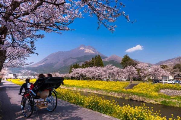 Yufuin, Beppu Stove Hell, and Dazaifu Tenmangu Shrine Day Trip in Kyushu | Tickets Included | Chinese Guide (Departing from Fukuoka)