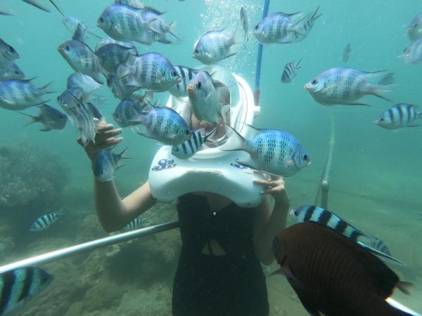 Cham Islands Snorkeling & Sea Walking Day Tour from Hoi An/Da Nang
