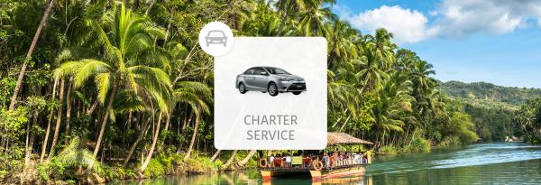 Bohol Customized Private Tour: Countryside Tour, Loboc River, Tarsier Viewing & More | Philippines