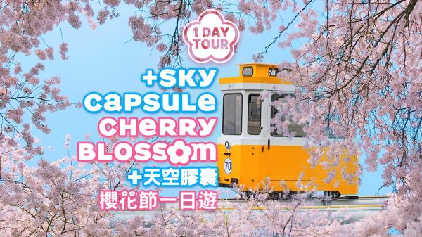 7折 | 2026 櫻花季|Blueline Park天空膠囊 & 隨機追櫻 + 春花一日遊(釜山出發)