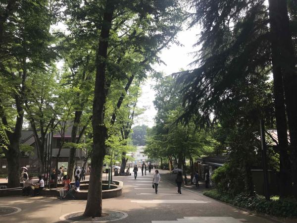 【【保證入園】東京三鷹之森吉卜力美術館、井之頭公園