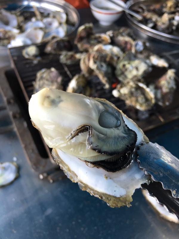 Penghu Marine Ranch | Fishing Experience, Grilled Fresh Oysters, All-You-Can-Eat Seafood Porridge