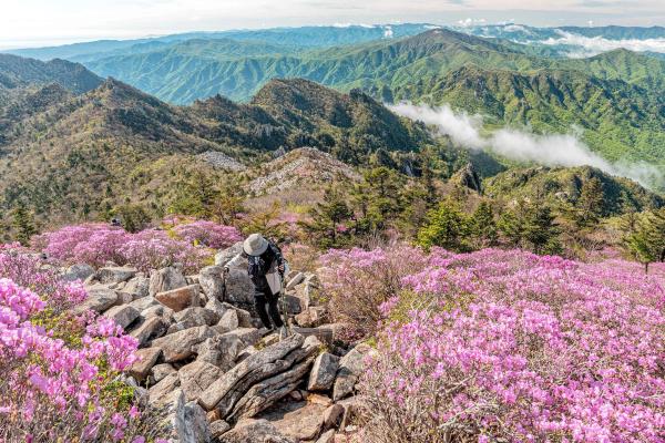 韓國|首爾出發|南怡島 + 雪嶽山一日遊|江原道自然景觀精華路線