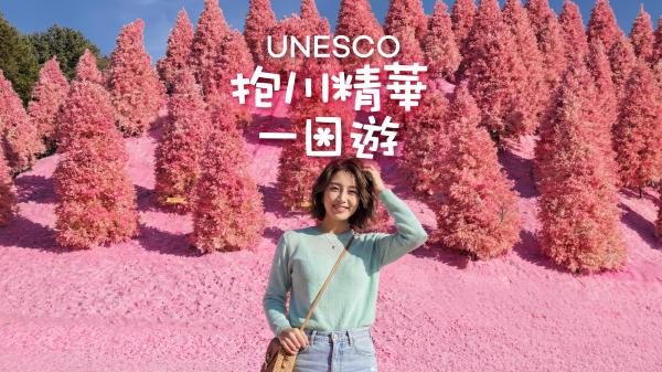 【UNESCO】抱川亮點一日遊:粉紅沙灘、Y 字吊橋&藝術谷(首爾出發)