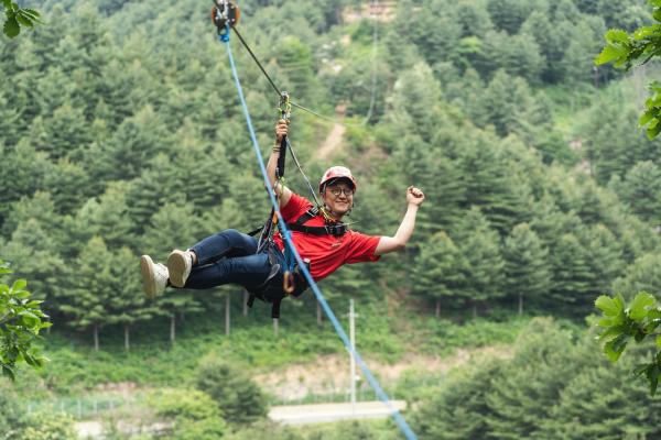 【【韓國加平一日遊】南怡島、加平刀鋒山高空飛索體驗